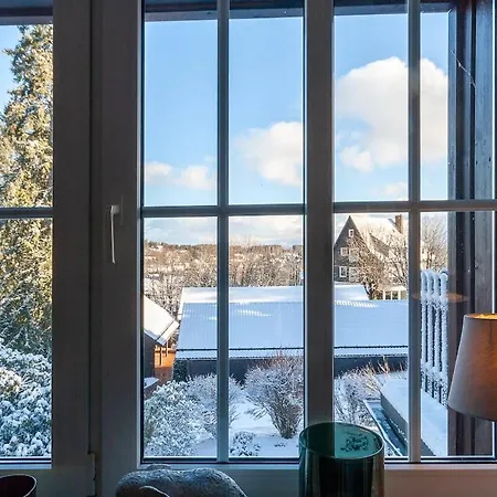 Apartment Kuschelhexe Mit Grosser Terrasse Braunlage