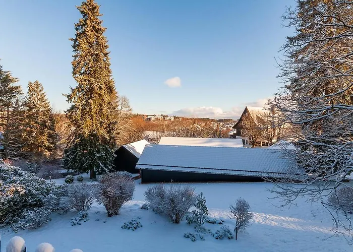 公寓 Kuschelhexe Mit Grosser Terrasse 布劳恩拉格